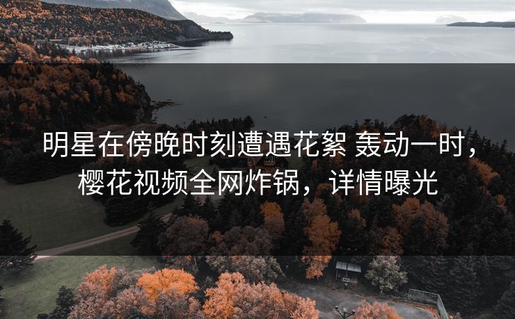 明星在傍晚时刻遭遇花絮 轰动一时，樱花视频全网炸锅，详情曝光