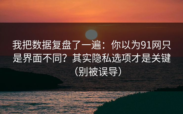 我把数据复盘了一遍：你以为91网只是界面不同？其实隐私选项才是关键（别被误导）